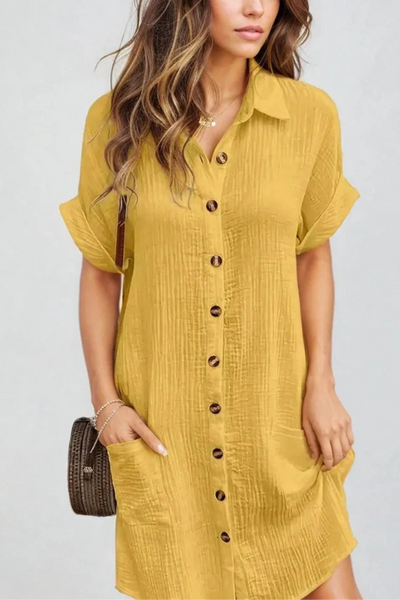 The Dakota Shirt Dress